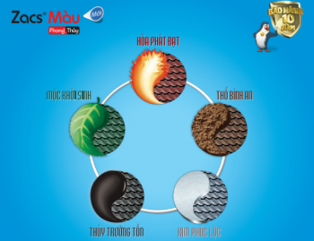 ZACS màu phong thủy vân hoa cương